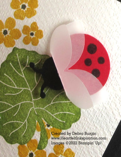 Hello Ladybug | I took some artistic liberties with this ladybug!  Please click to read more! | Stampin' Up! | HeartfeltInkspiration.com | Debra Burgin  