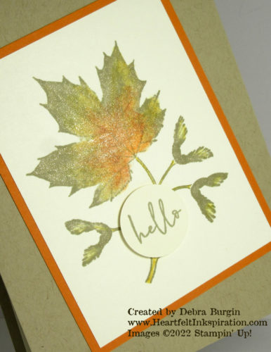 Soft Seedlings | This card adds color to the stamped image (not the stamp itself).  How?  Please click to read more! | Stampin' Up! | HeartfeltInkspiration.com | Debra Burgin  